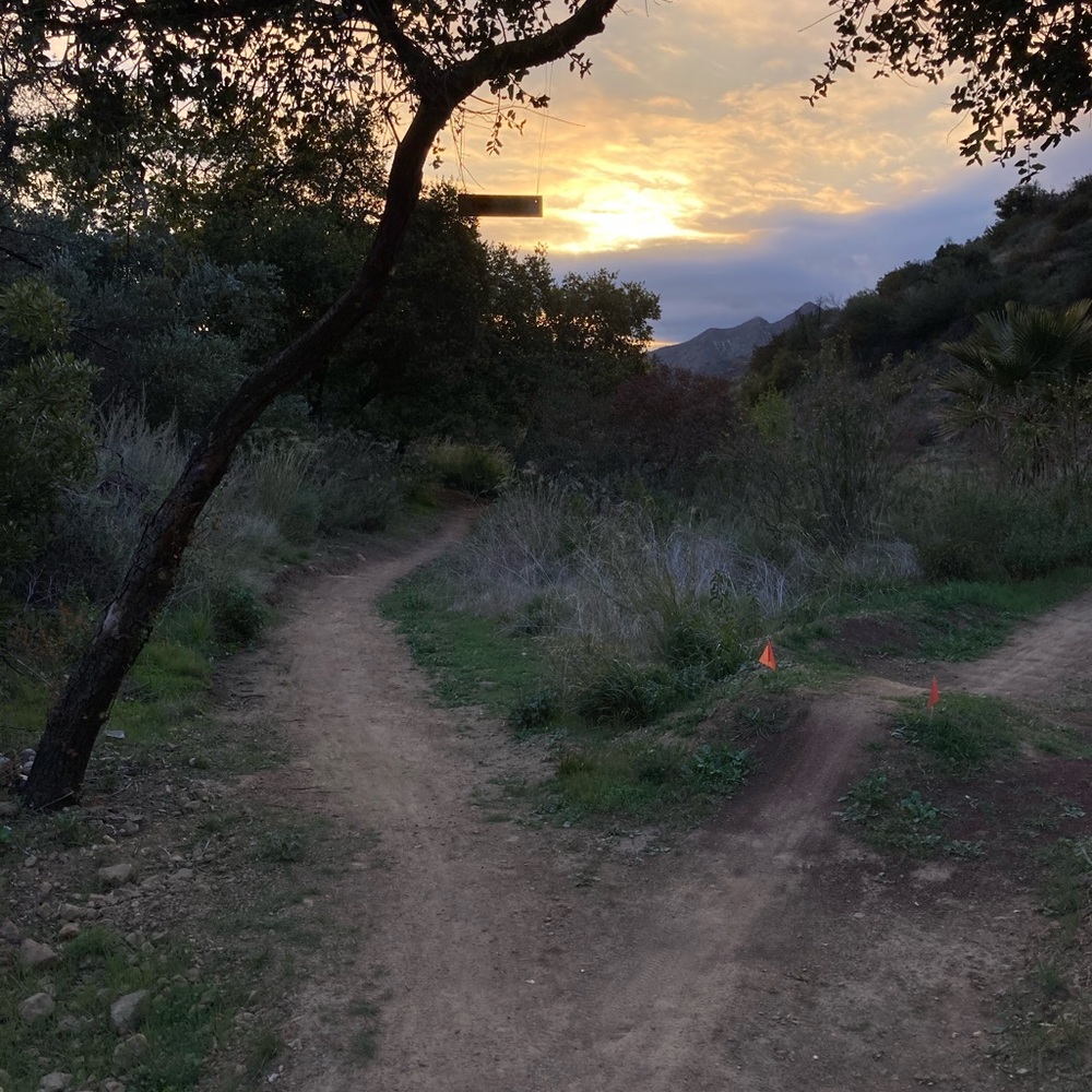 Meet your Posher, Eden